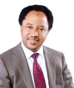 Shehu-Sani